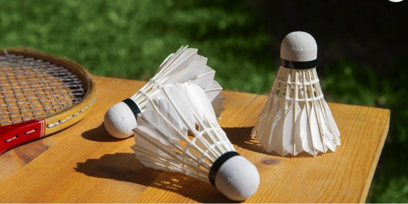 Cá Cược Cầu Lông tại V9BET