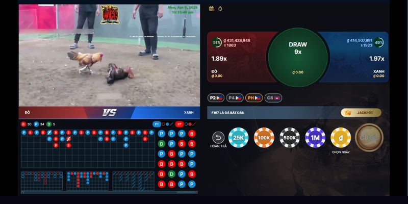 V9Bet phát sóng trận đấu gà trực tiếp hấp dẫn